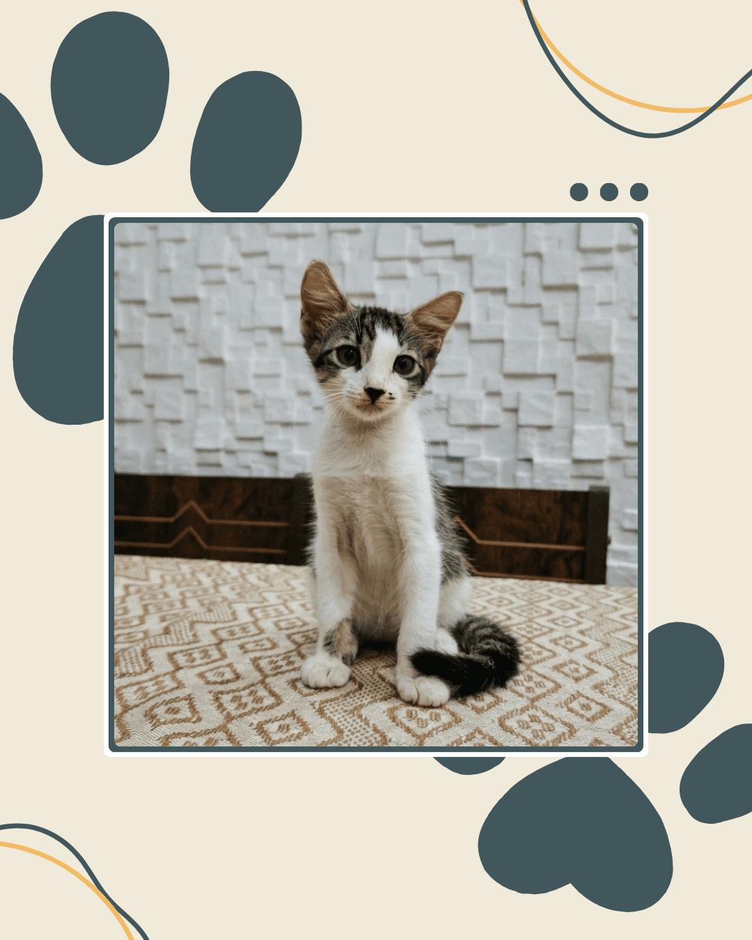 Foto de Pipoca